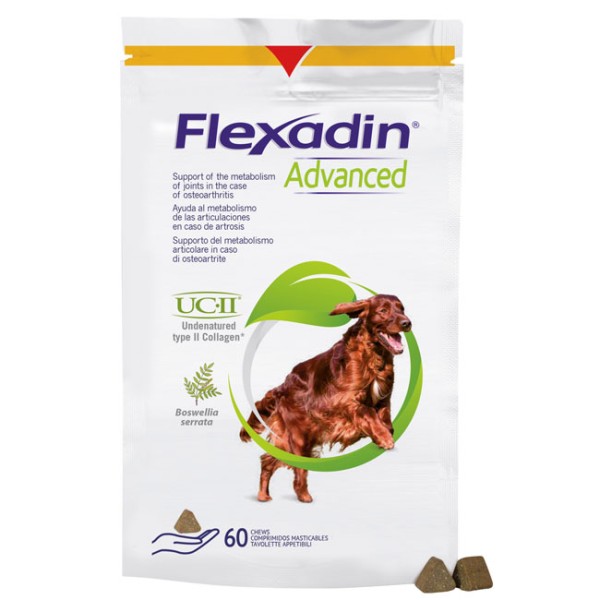 Flexadin advanced 60 chews MHD 01.09.2023