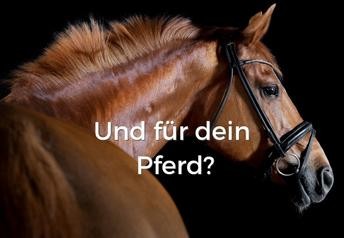 Bestelle bei Equidocs – deinem Online-Händler für Pferdebedarf!