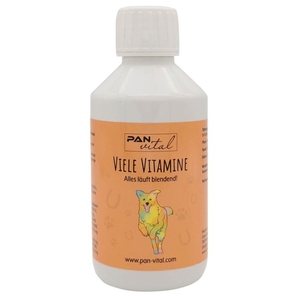 PAN Vital Viele Vitamine- Alles läuft blendend 250ml MHD 01.09.2023